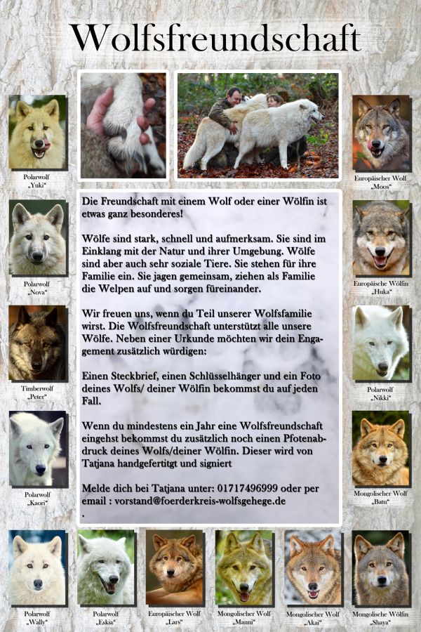 Wolfsfreundschaft